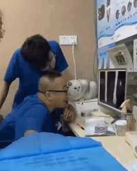 被强制绝育的橘猫，从此赖在了医院，还混成了副院长休闲区蓝鸢梦想 - Www.slyday.coM