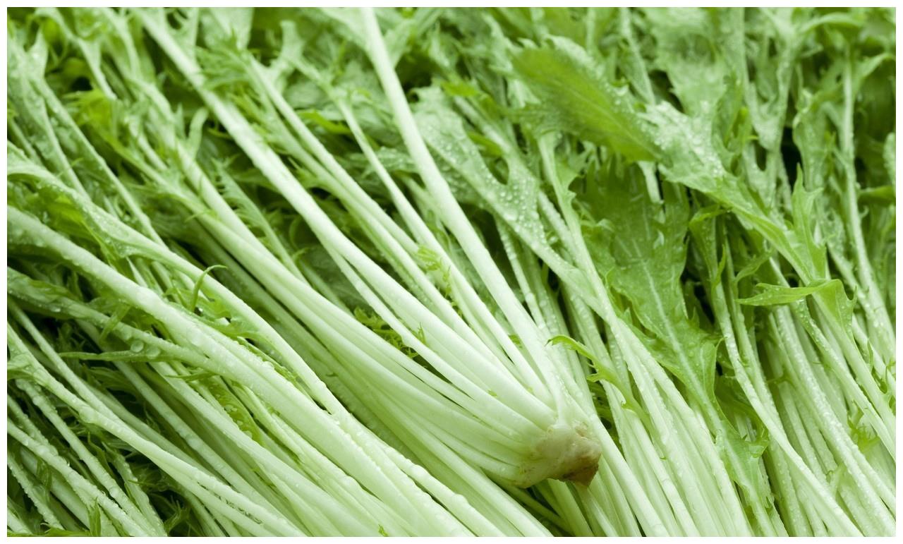 含钙最高的蔬菜排行榜，什么蔬菜含钙高