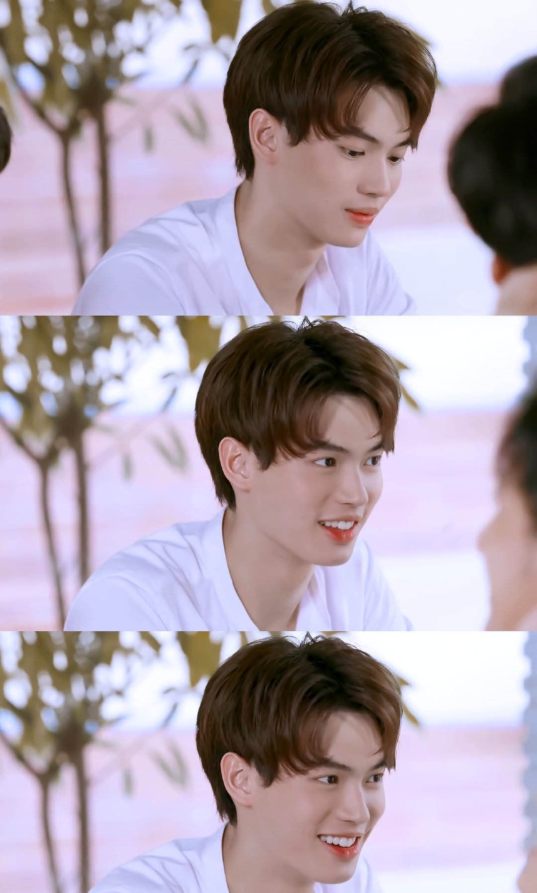 《假偶天成》新出炉的壁纸,你值得拥有_高清图集_新浪网