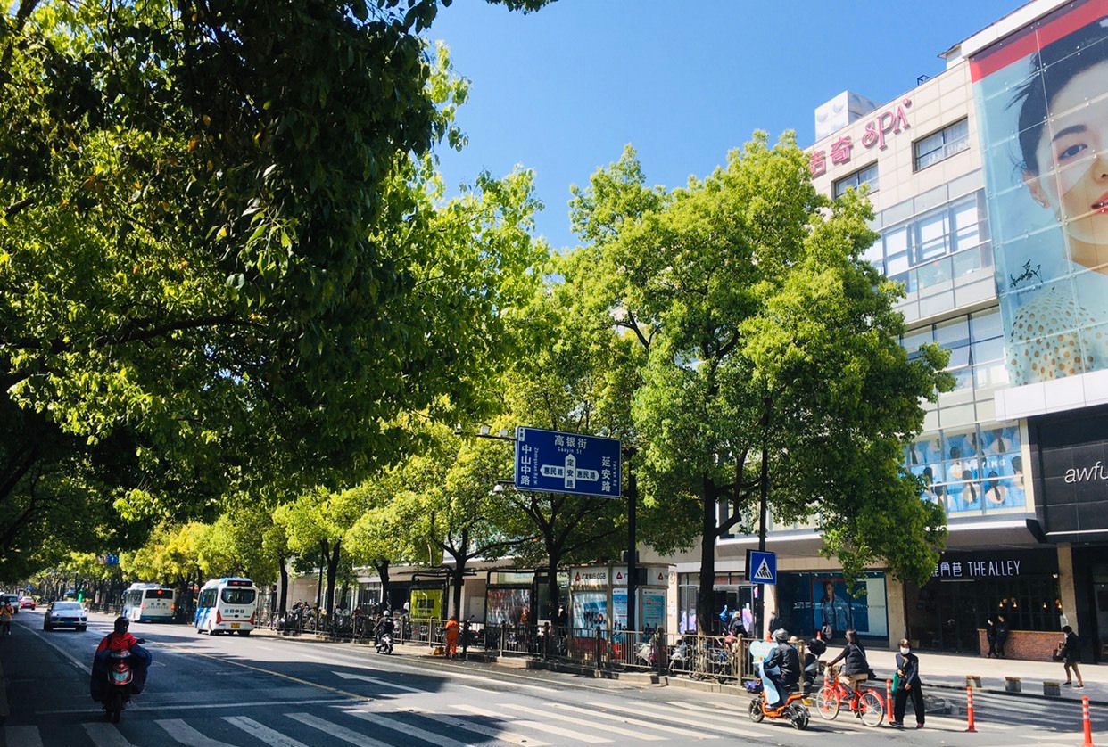 位于杭州市上城区的定安路,遮天蔽日大树映衬之下的心旷神怡_高清图集