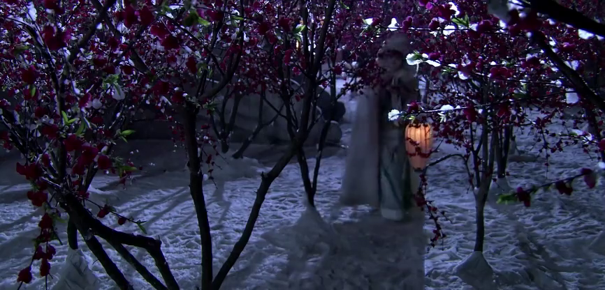 甄嬛夜逛倚梅园,梅花开的好漂亮,人美景更美!
