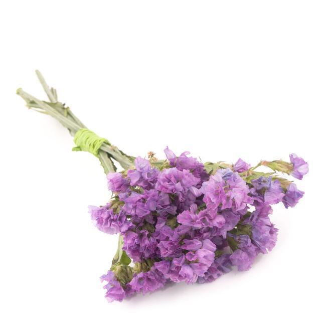 我儿说，妈妈你没工作没钱结账，不能吃，爸爸付钱的，爸爸可以吃休闲区蓝鸢梦想 - Www.slyday.coM