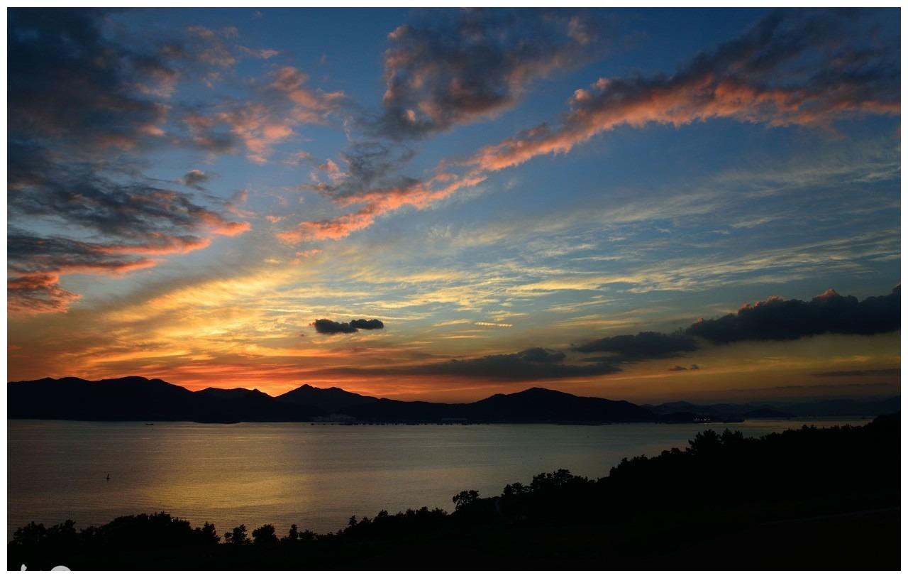 好属相排行_十二生肖1月财运排行2015财运最好的属相都有哪些