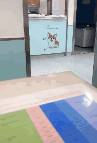 被强制绝育的橘猫，从此赖在了医院，还混成了副院长休闲区蓝鸢梦想 - Www.slyday.coM