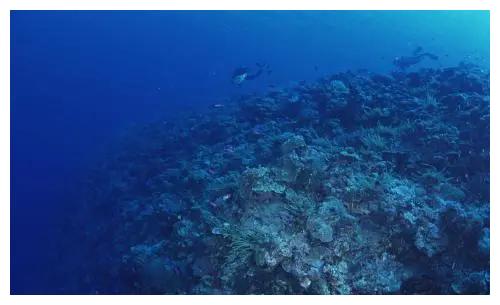 那么对流现象不就没有了么