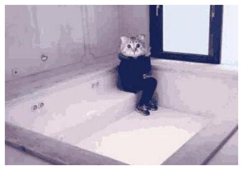 作家郭敬明上海的家,阳台就能看到上海市区,浴缸比别人客厅还大休闲区蓝鸢梦想 - Www.slyday.coM 作家郭敬明上海的家,阳台就能看到上海市区,浴缸比别人客厅还大休闲区蓝鸢梦想 - Www.slyday.coM