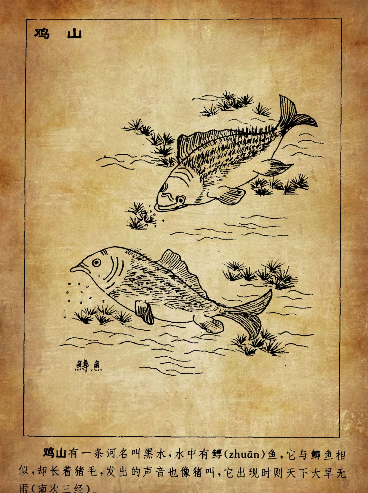 东方人的圣经,中国的物种起源,图说神异《山海经》之南山经