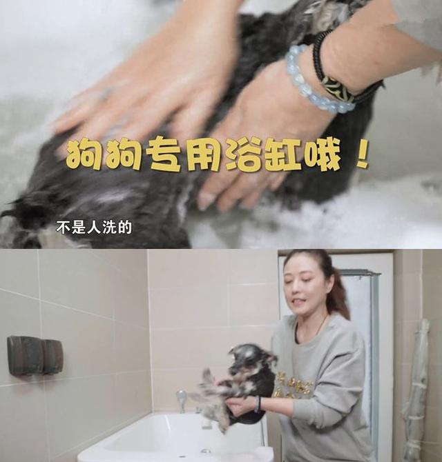 走进周海媚在<a href=