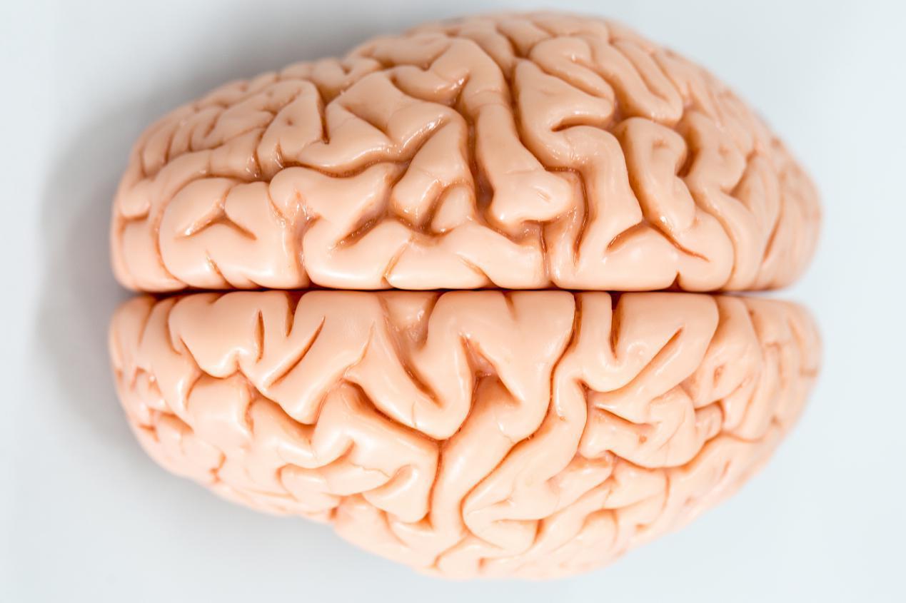 大脑养好,身心不老!医生:记住3个时间"养脑",4个运动健脑