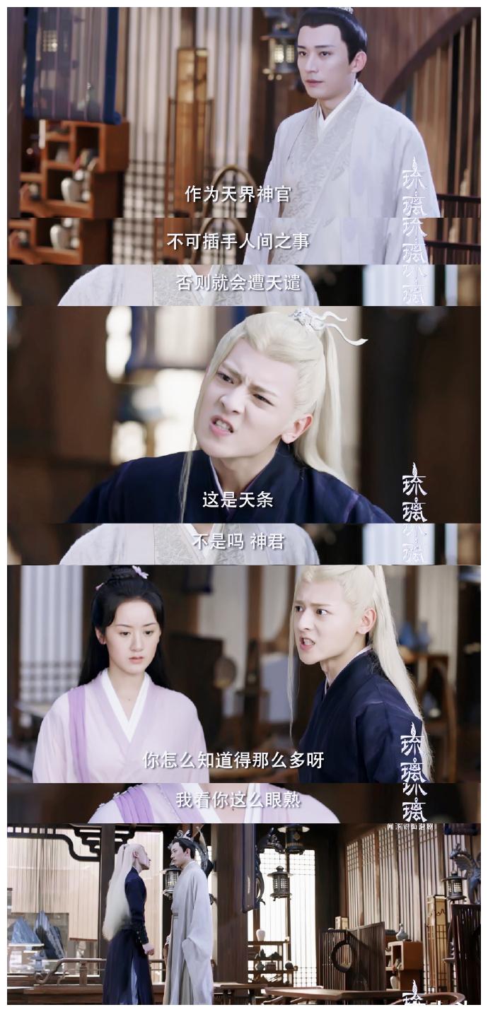 腾蛇怼昊辰好爽!超前点播今日开启