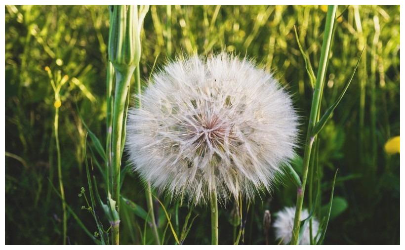 身在福中不知福的3个生肖，对老婆特别抠门，婚姻非常不幸福休闲区蓝鸢梦想 - Www.slyday.coM