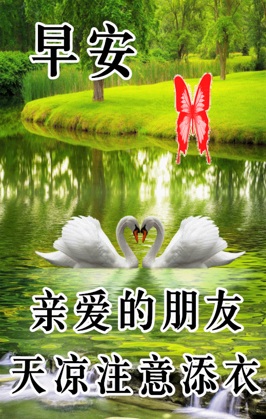 清晨短信祝福你,祝你开心每一天,早安!