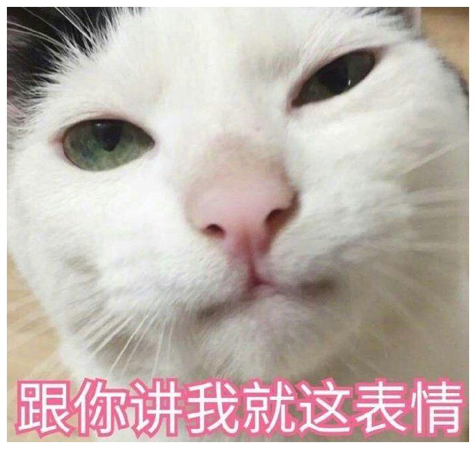 但是当女子凑近看清后却没了食欲,也下不去手了.