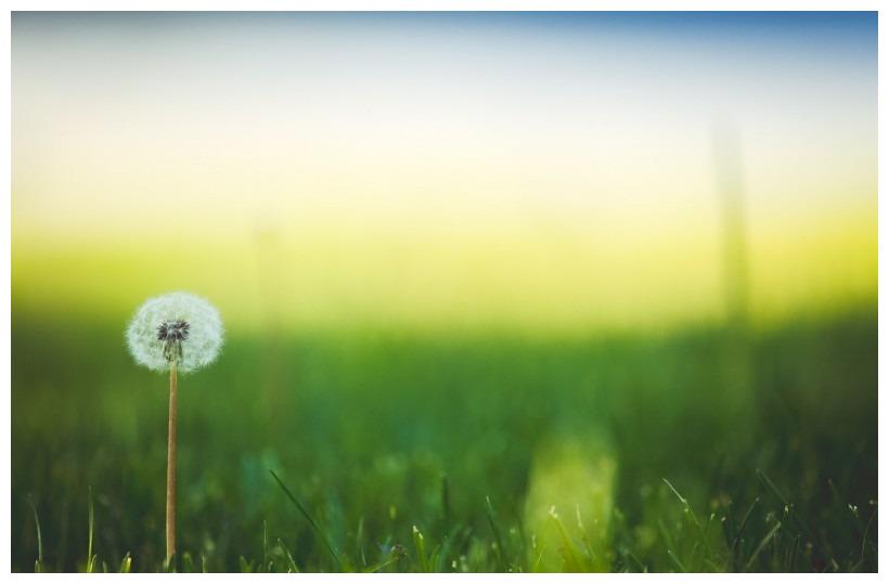 身在福中不知福的3个生肖，对老婆特别抠门，婚姻非常不幸福休闲区蓝鸢梦想 - Www.slyday.coM