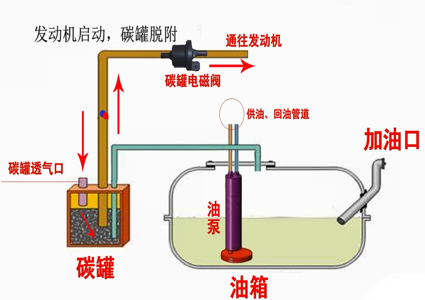 每次加完油动力都特好,其实是这个零件在偷偷起作用|碳罐|油箱|混合气