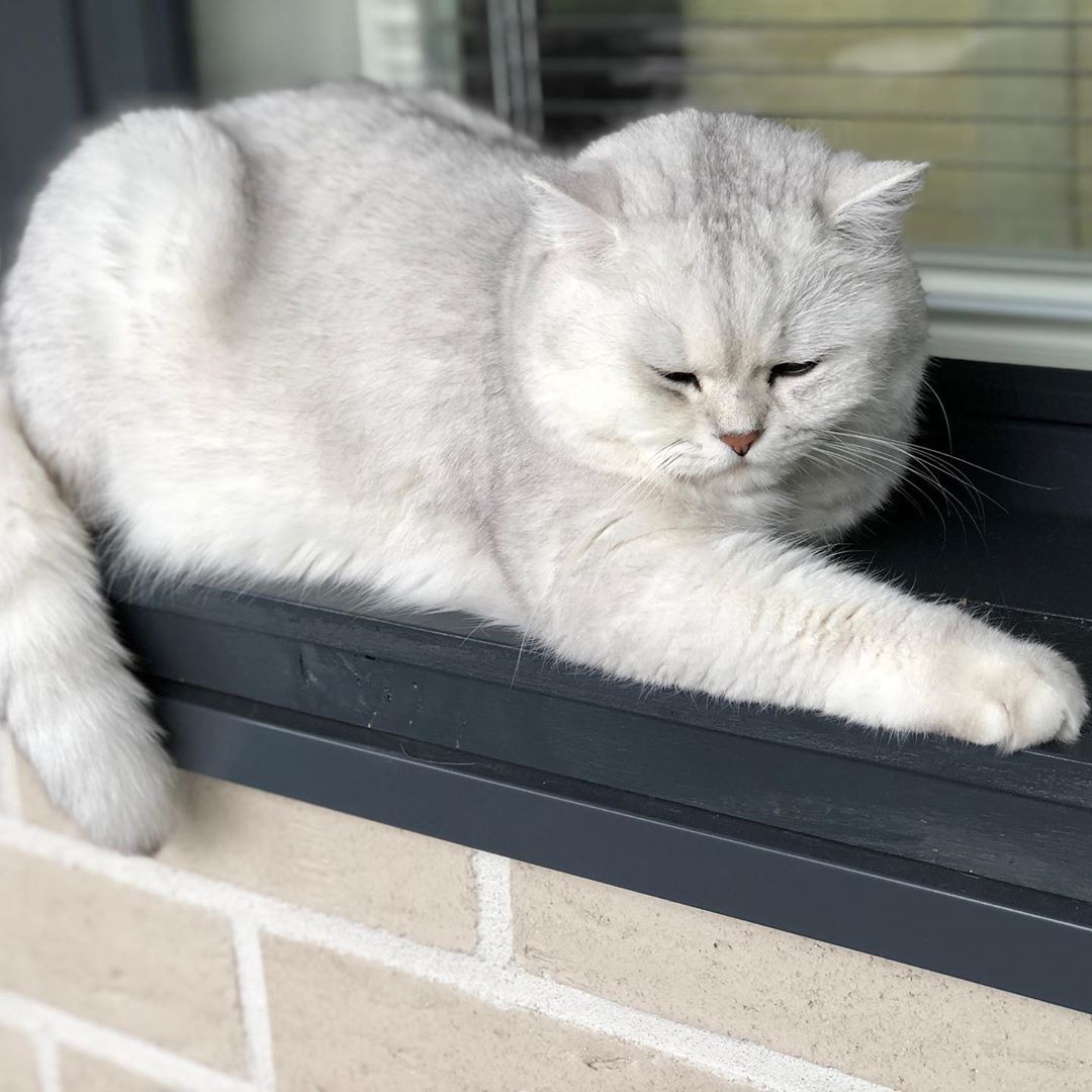 北京肥壮宝也能从相册选照片啦！最新配置降级详解 (肥壮宝多少钱一件)