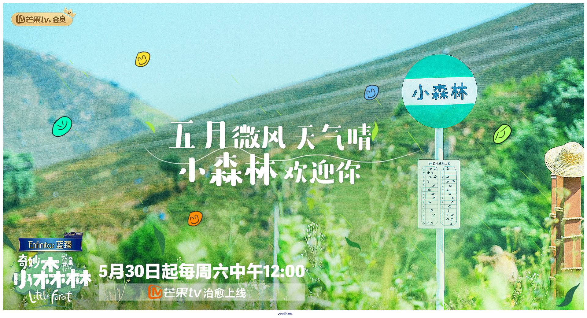 《奇妙小森林》定档530 回归自然开启森林新玩法