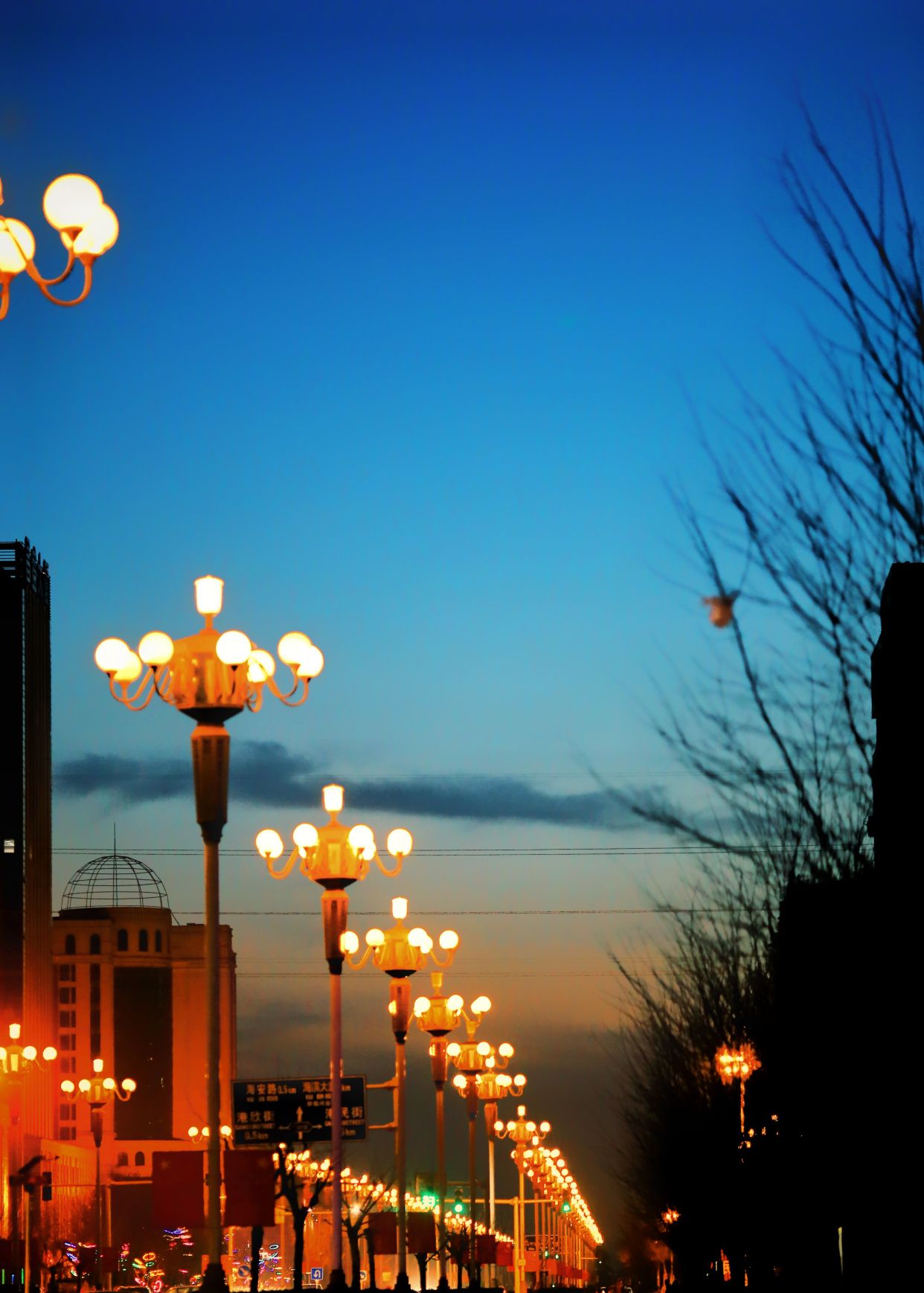京唐港夜幕降临,回家的路上!