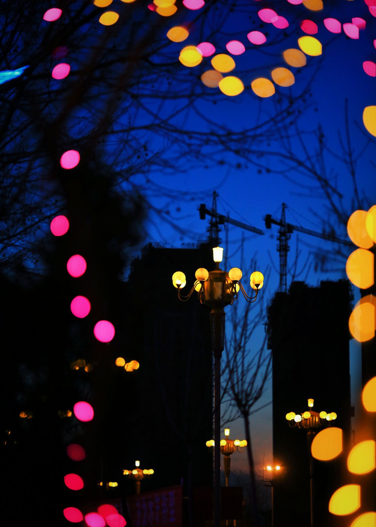 华灯初上夜未央!_高清图集_新浪网