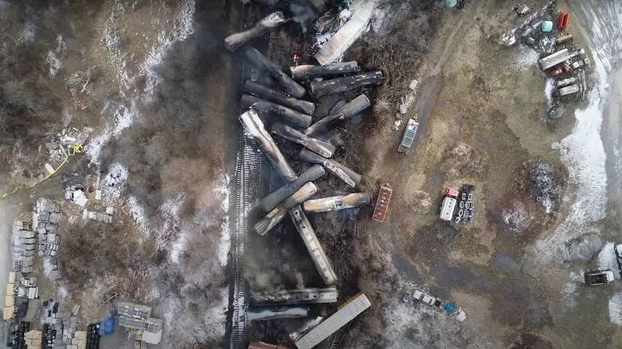 美国毒火车事件已致4.4万只动物死亡，可能要让黄皮肤华人背锅了
