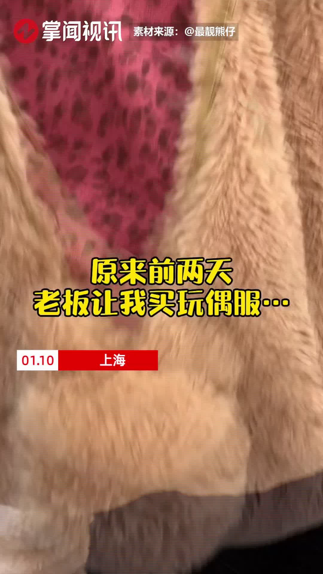 95后女老板穿上玩偶熊装视察员工工作接下来的事情令人爆笑 手机新浪网