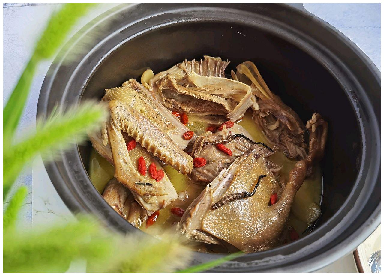 营养小食光#虫草老鸭煲