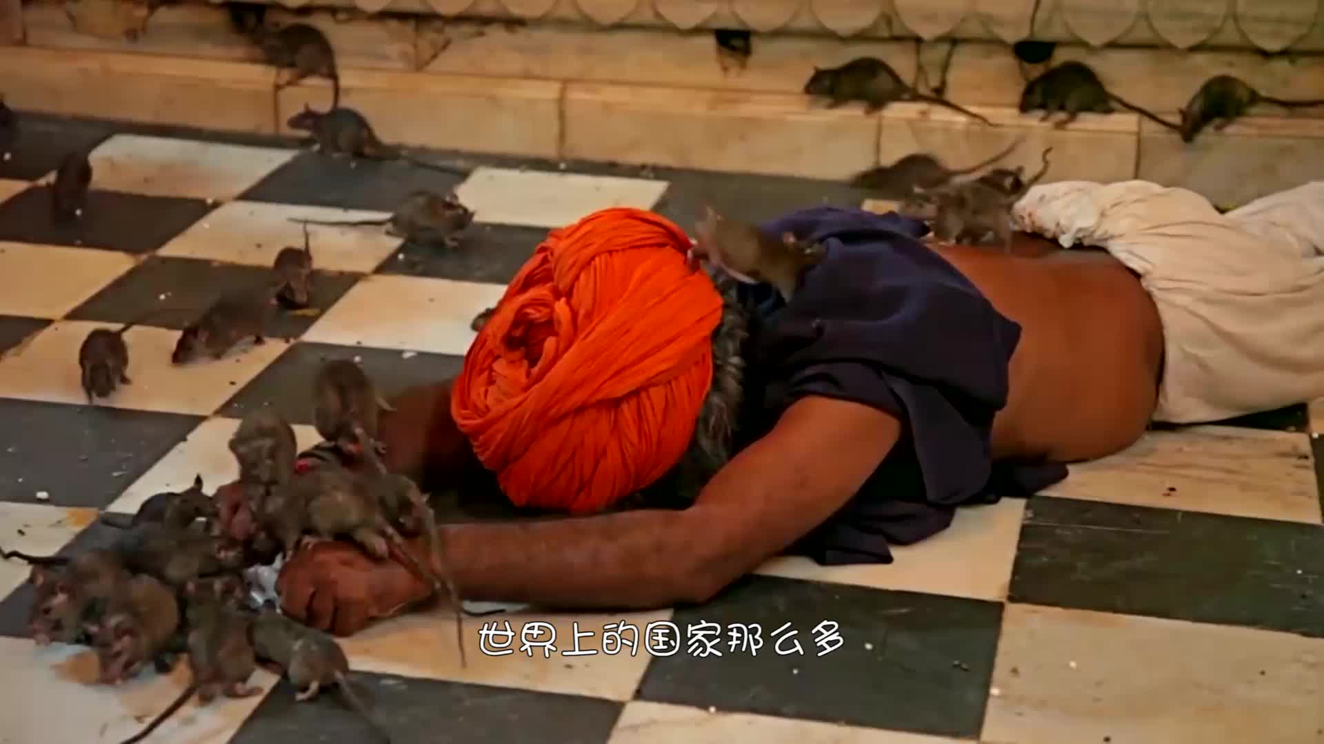 印度"牛粪节",成千上万人涌上街头互扔牛粪,那味道无比上头!