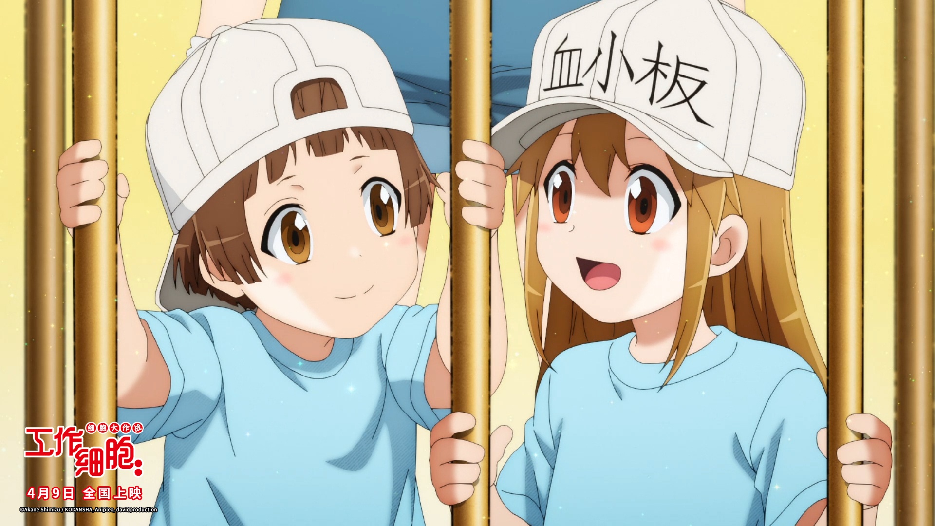 血小板小队长和反戴帽子酱