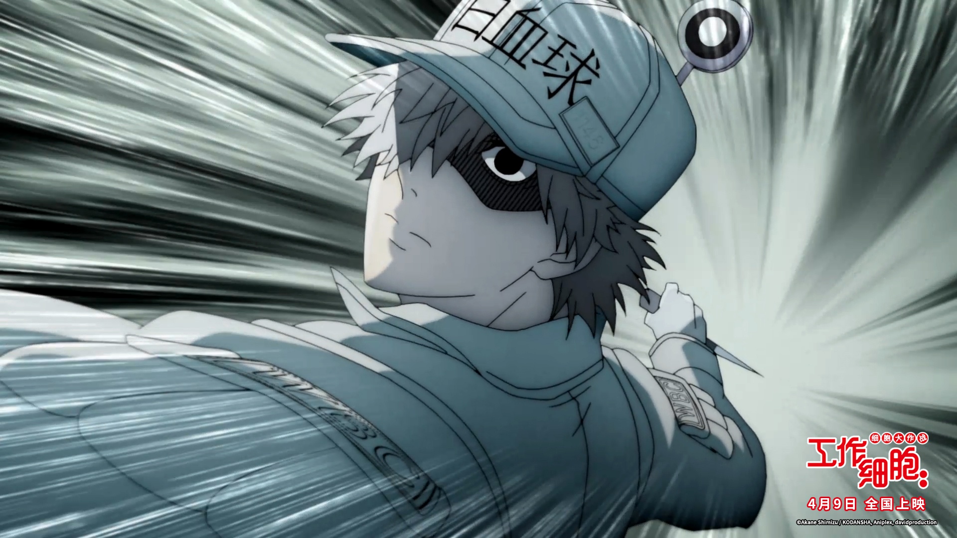 电影版《工作细胞》定档4月9日 高萌上演身体保卫战