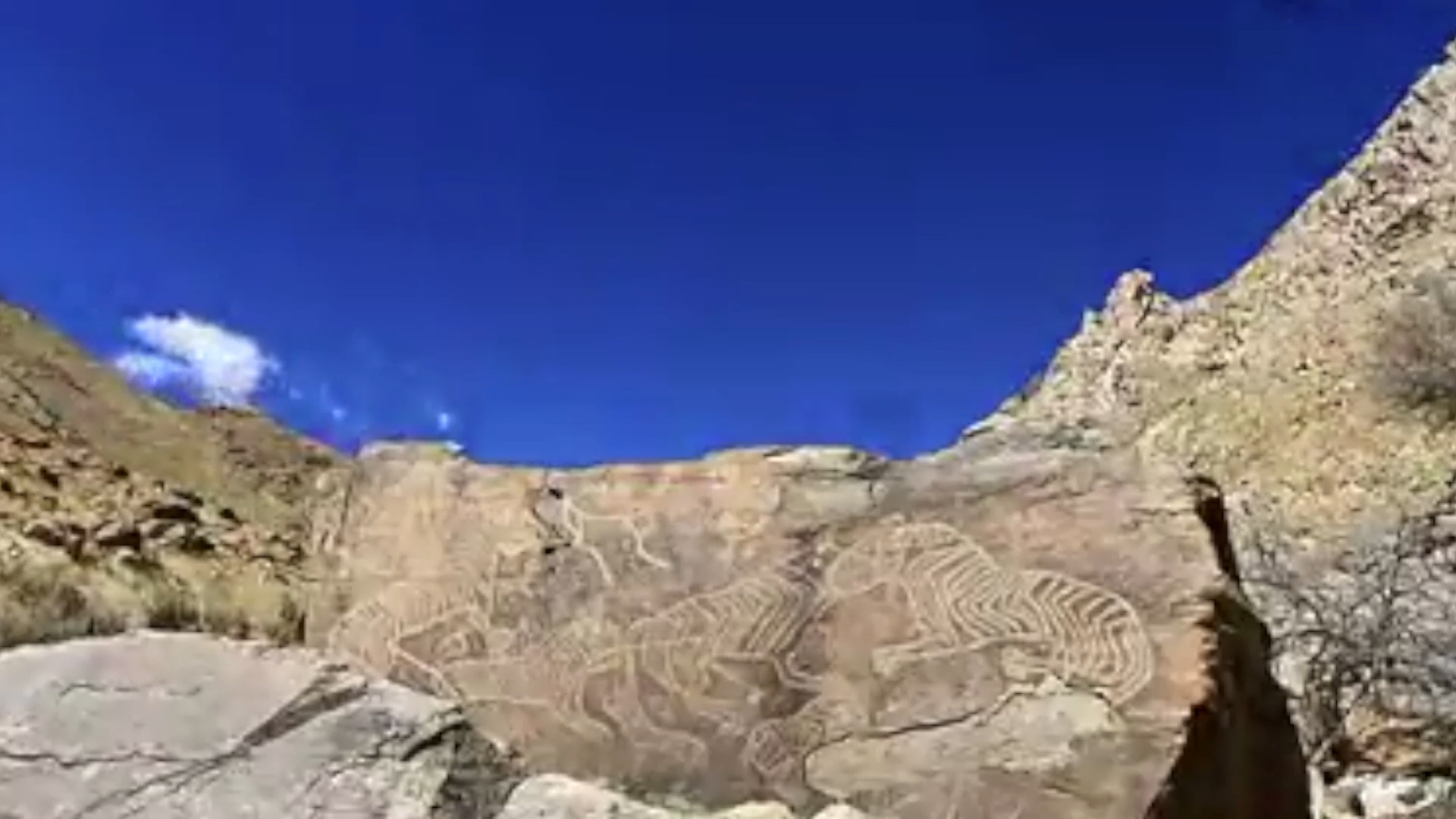 阴山岩刻(群虎图)