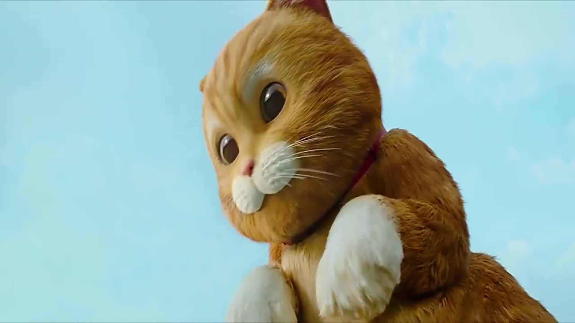 影视:小猫咪慢慢融入了这个家,它不希望这个家散了