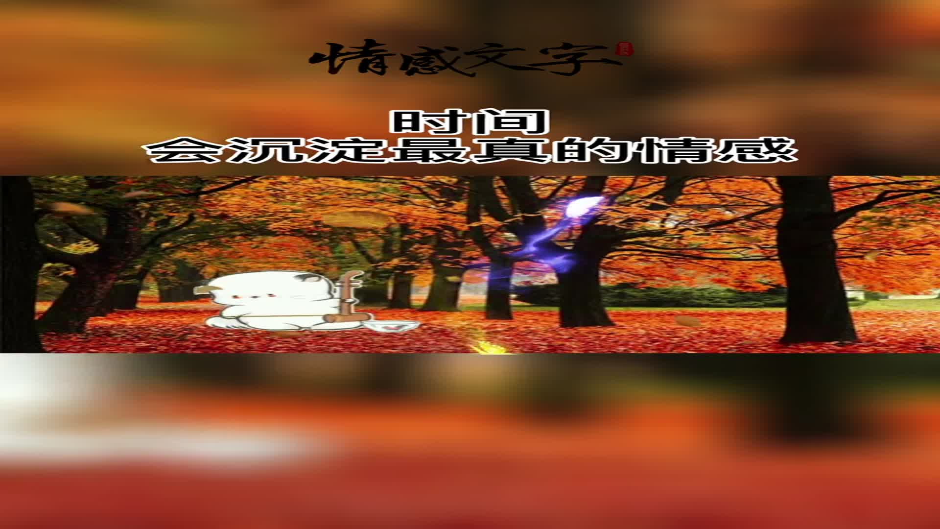 时间会沉淀最真的感情,风雨会考验最暖的陪伴