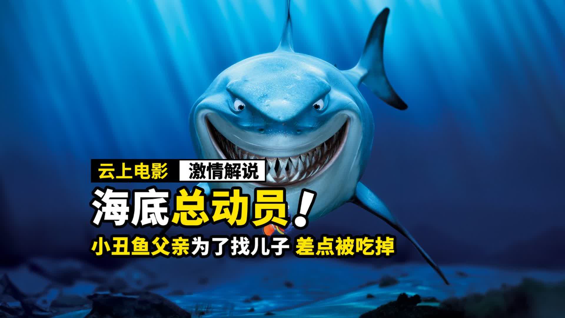 小丑鱼为了找到儿子，差点被鲨鱼吃掉，动画电影《海底总动员》