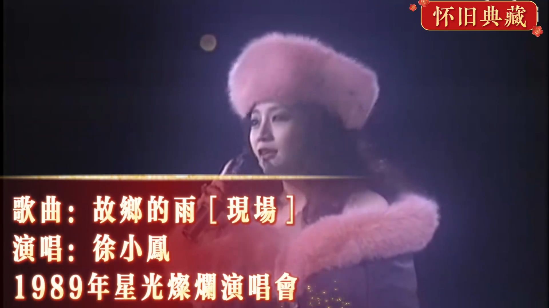 徐小凤1989年星光灿烂演唱会《故乡的雨》