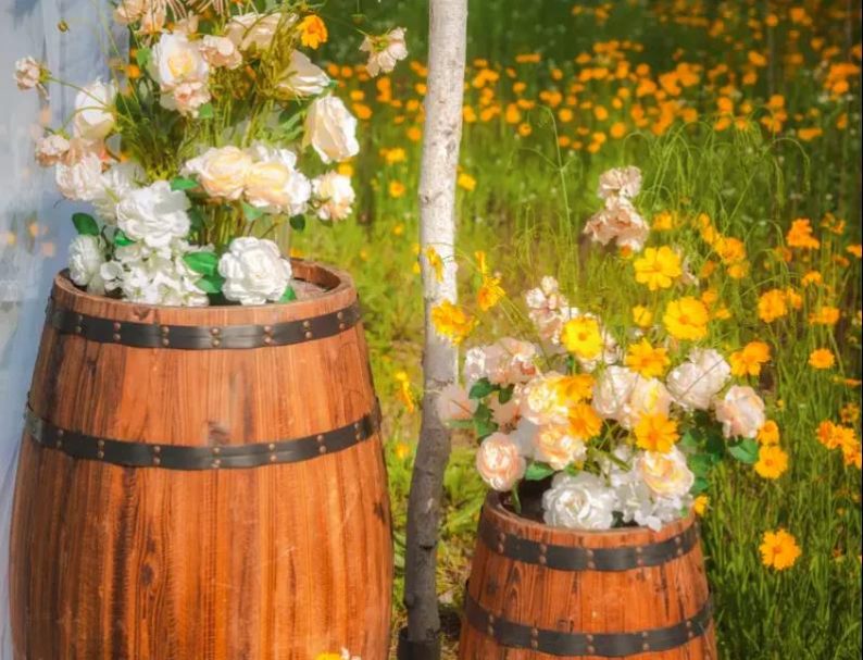 不到1万元，如何办一场小而美的婚礼？休闲区蓝鸢梦想 - Www.slyday.coM