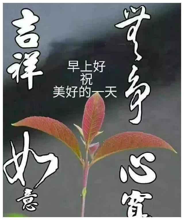 星期五微信朋友圈早上好心情感悟图片带句子