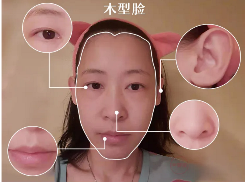 你的脸部比例达标吗?|性格|木型|颧骨_新浪新闻