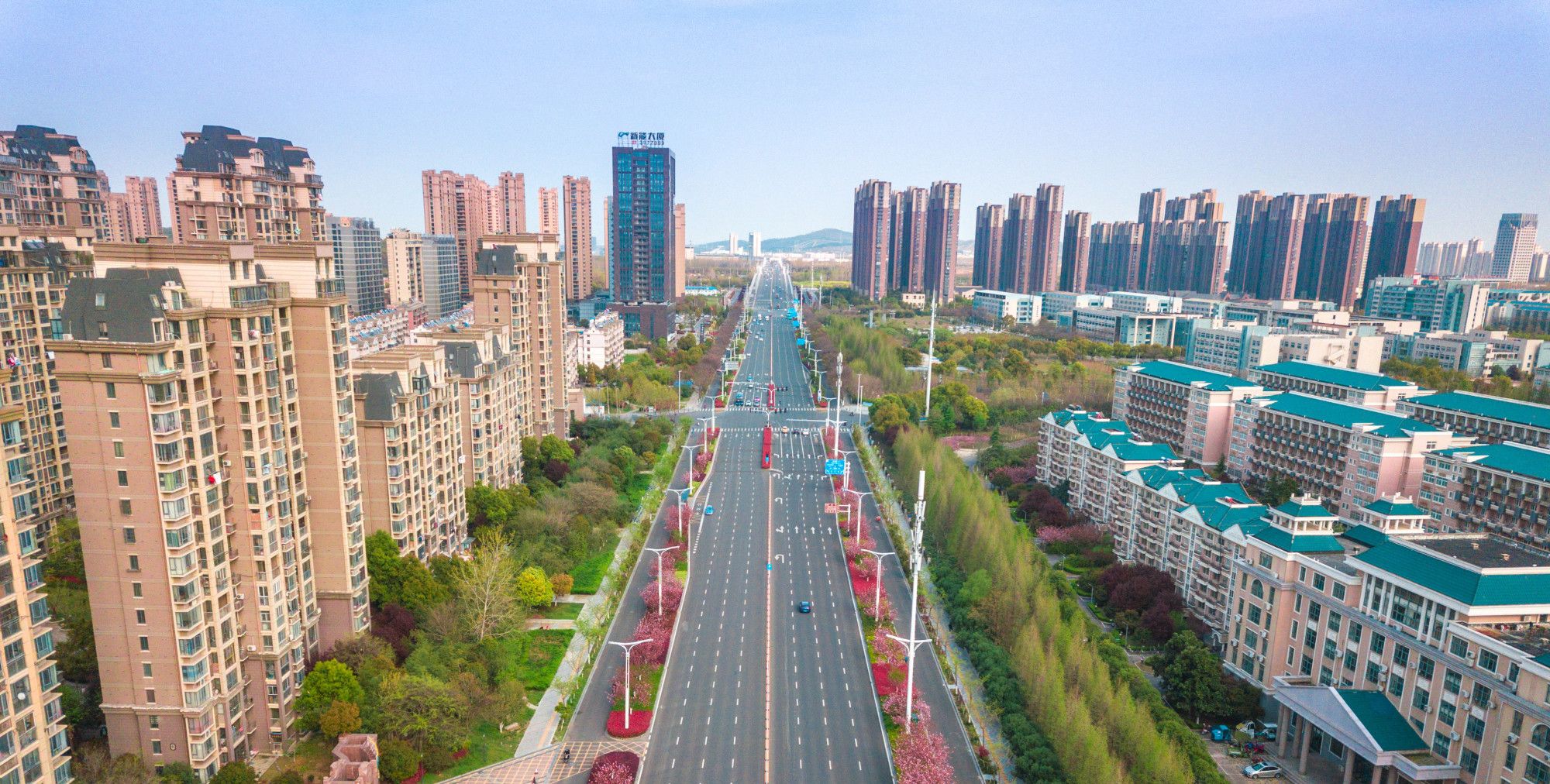 零成本赏樱,蚌埠市区有条"樱花大道",就在龙湖东岸家门口!