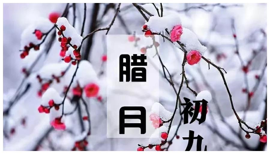 今日腊月初九天赦日逢双辛丑双甲子百年难遇看老祖宗咋说