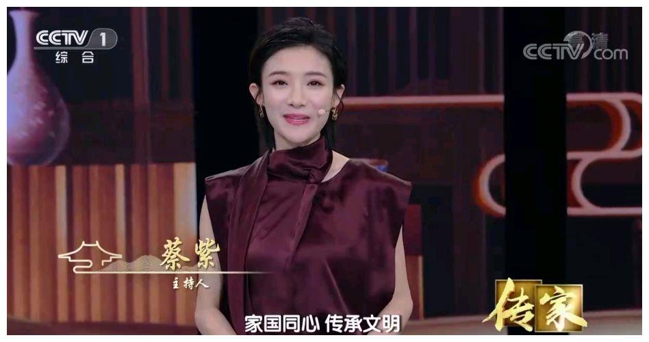 蔡紫央视发展势头强劲,主持《传家》节目获好评,仿佛是量身定制