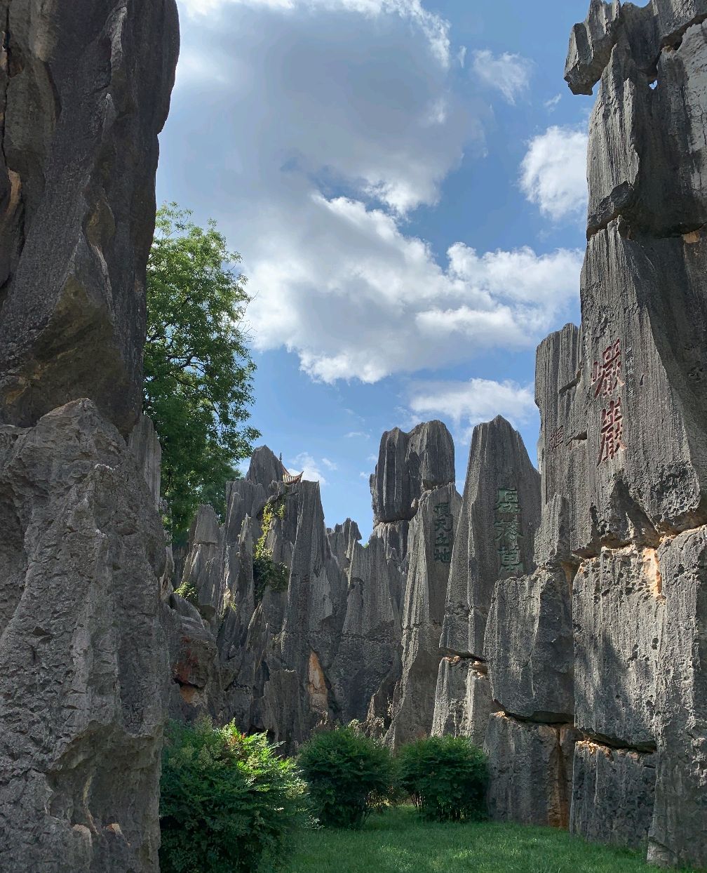 昆明市石林风景区,又称为云南石林,位于昆明石林彝族自治县境内