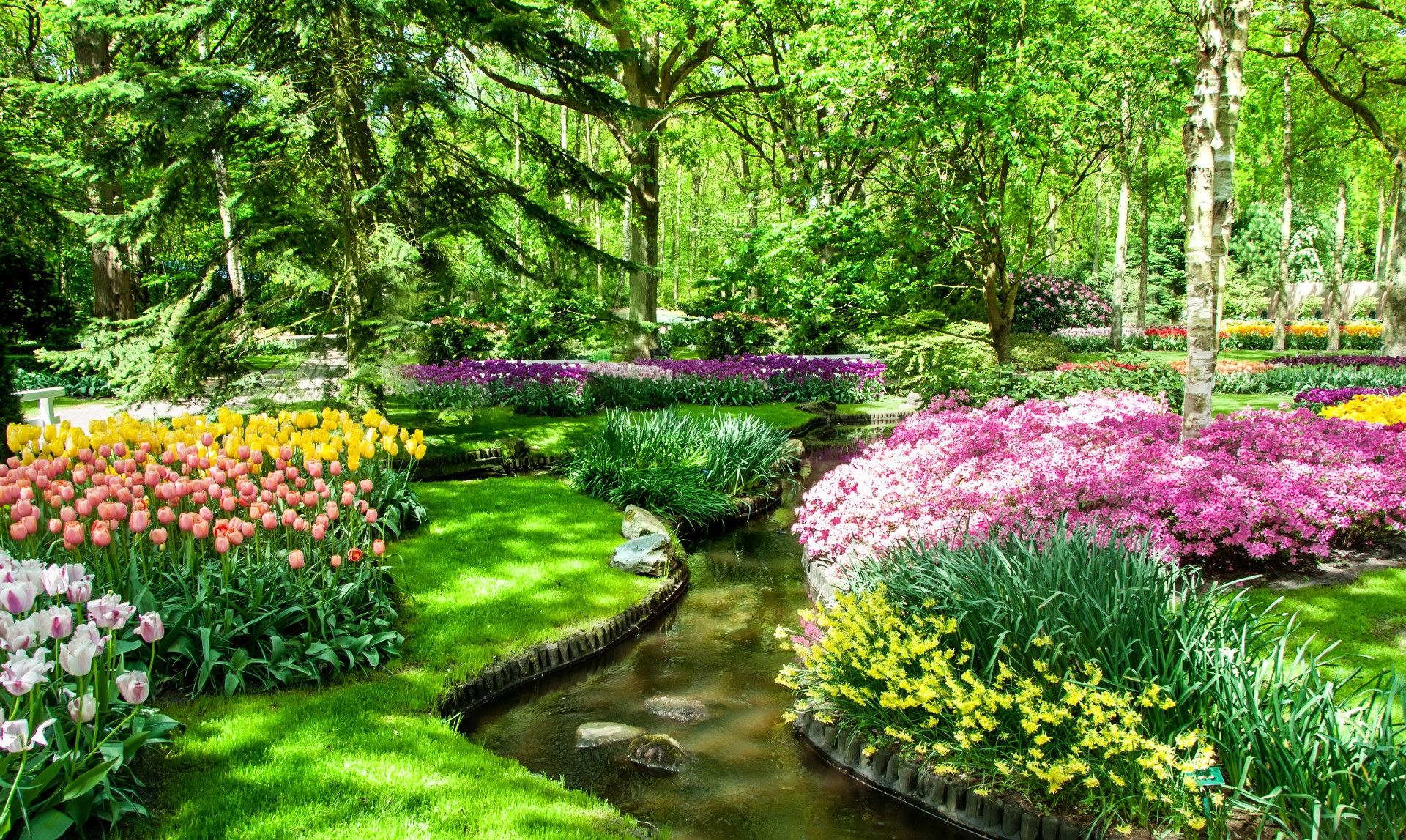 图集:分享一组精美的花园壁纸,赶紧收藏吧!