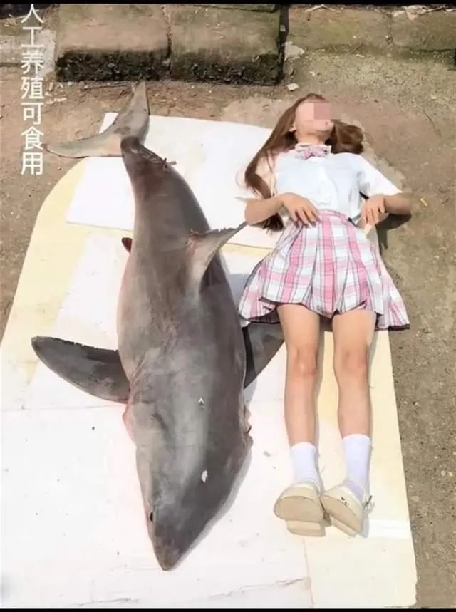 百万粉女网红疑吃濒危大白鲨被举报！连夜清空视频，警方已介入休闲区蓝鸢梦想 - Www.slyday.coM