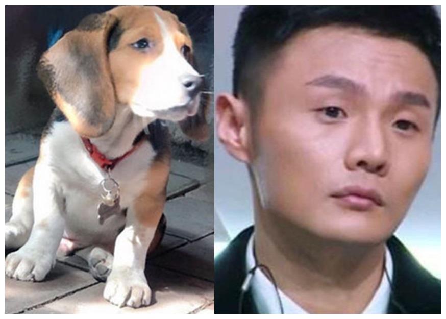 近日杨丞琳在社交平台上晒出了一张爱狗照片,并配文说:"狗界李荣浩".