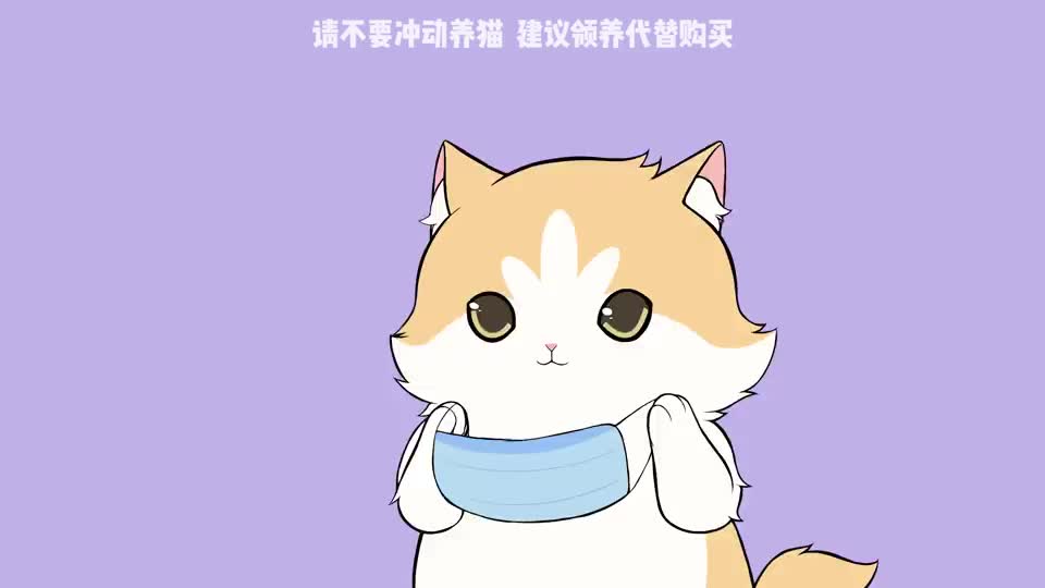 花花与三猫家的神秘小房间曝光!猫:太坏了!