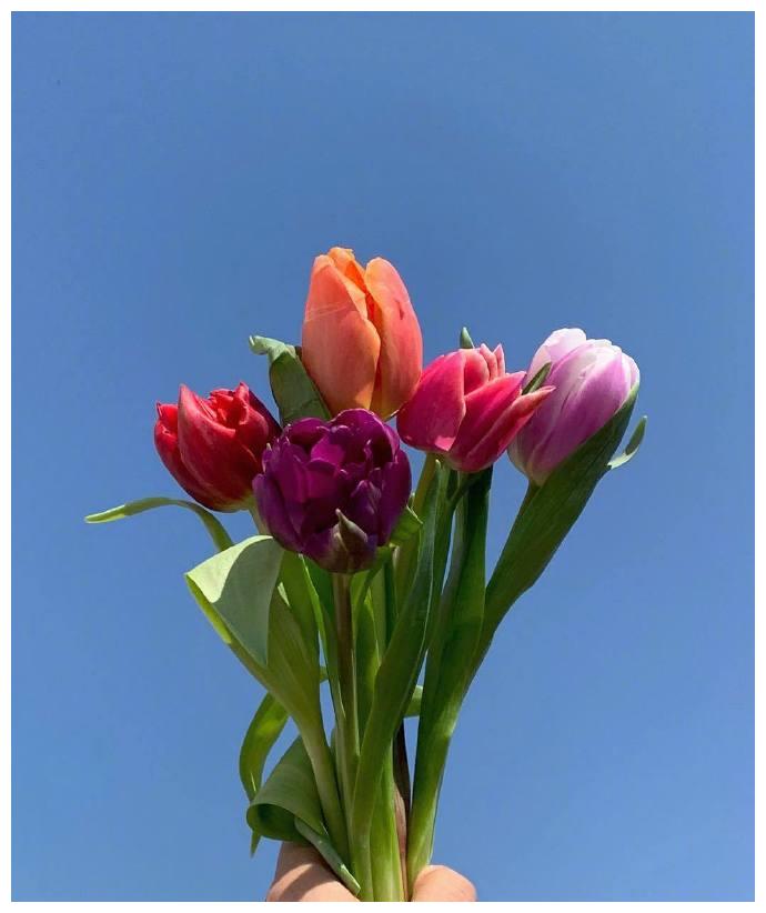 低调有涵养的早安短句选一句送给自己