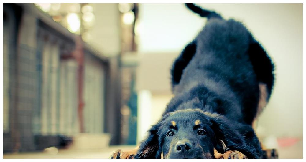 6岁男孩被狗咬死，家属起诉狗主人和物业索赔80万，芜湖法院判了休闲区蓝鸢梦想 - Www.slyday.coM