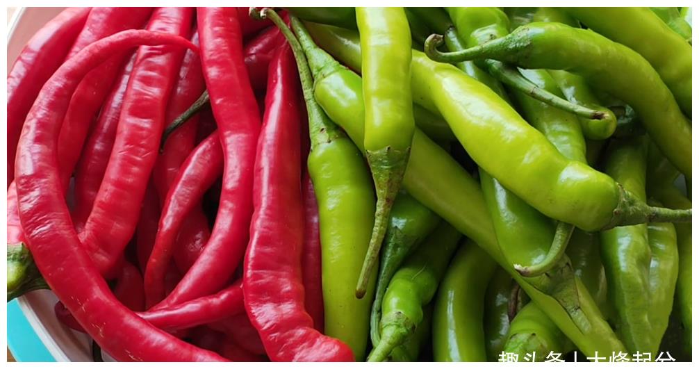 蒜蓉辣酱,4斤辣椒1斤蒜,香辣开胃又下饭,学会再也不用出门买了