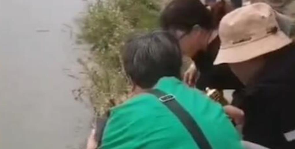 多名女子刚把买来的鱼龟放生，后脚被捞起售卖！网友：做得好！休闲区蓝鸢梦想 - Www.slyday.coM