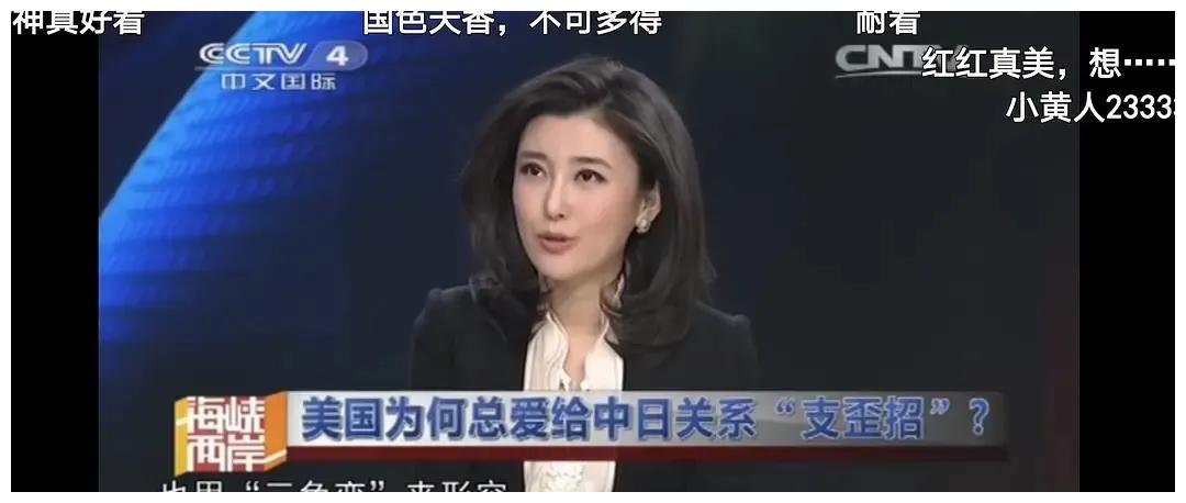 央视美女主播李红被爆料：丈夫出轨还性侵，公公在服刑中（视频/组图） - 14